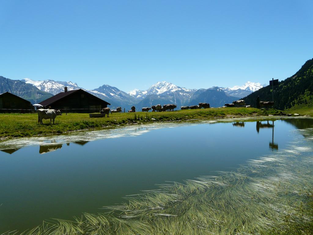 Chalet Enzian Riederalp Buitenkant foto