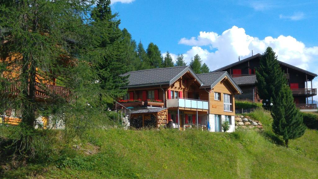 Chalet Enzian Riederalp Buitenkant foto