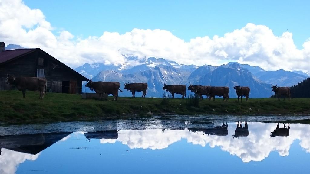 Chalet Enzian Riederalp Buitenkant foto